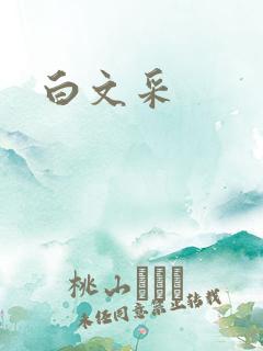 白文采