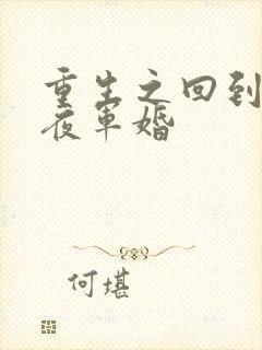 重生之回到新婚夜军婚