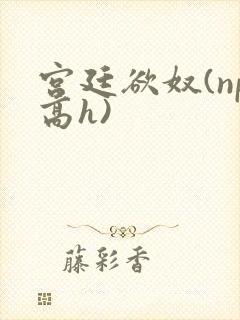 宫廷欲奴(np高h)