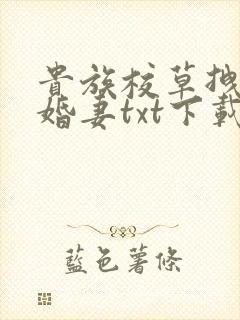 贵族校草拽拽未婚妻txt下载