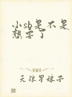 小sb是不是又想要了