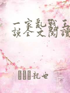 一家乱战王芳小说全文阅读