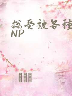 总受被各种姿势NP
