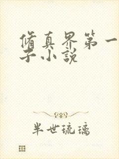 修真界第一病秧子小说