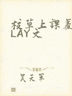 校草上课羞耻PLAY文