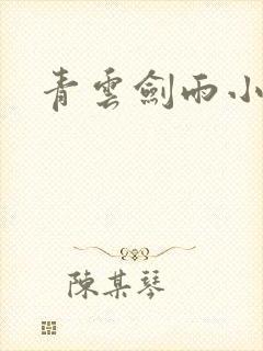 青云剑雨小说