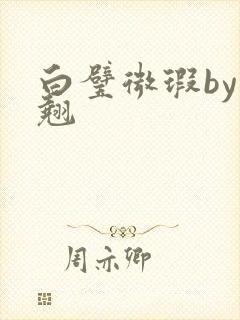 白璧微瑕by连翘