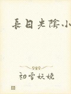 长日光阴小说