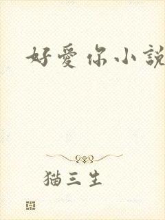 好爱你小说