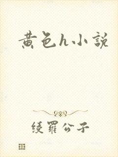 黄色h小说