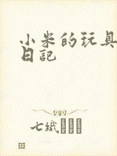 小米的玩具羞辱日记