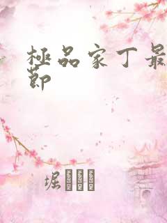 极品家丁最新章节