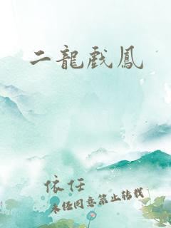 二龙戏凤