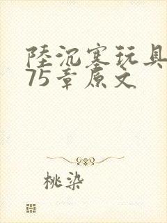 陆沉塞玩具高速75章原文