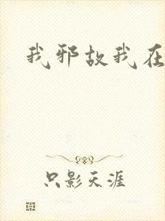 我邪故我在
