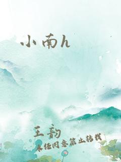 小南h