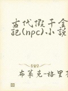 古代假千金挨日记(npc)小说