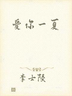 爱你一夏