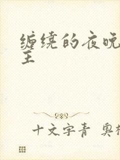 缠绕的夜晚双男主