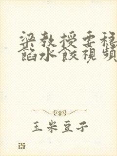 梁教授要稳住肉馅水饺视频