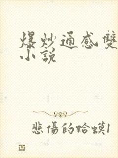 爆炒通感双胞胎小说