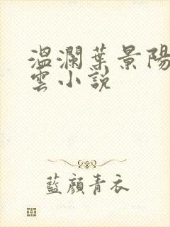 温澜叶景阳温云云小说