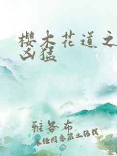 樱木花道之重生凶猛