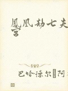 凤凰劫七夫乱后宫