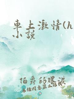 车上激情(h)小说