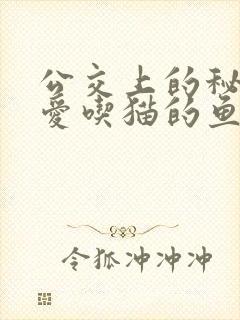 公交上的秘密 爱吃猫的鱼