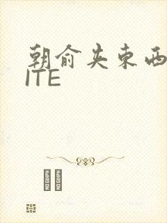 朝俞夹东西WRITE