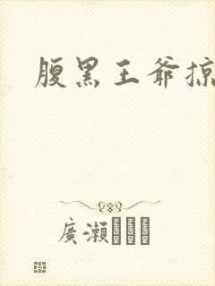 腹黑王爷掠邪妃