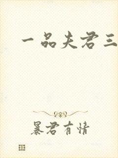 一品夫君三流妻