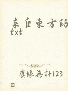 来自东方的骑士txt