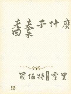 老夫子什么时候回来