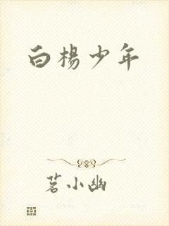 白杨少年