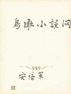 鸟瞰小说网