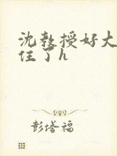 沈教授好大含不住了h