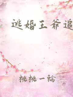 逃婚王爷追逃妃