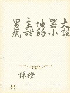 男主他器大活好疯甜的小说