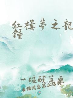 红楼梦之龙套秦钟