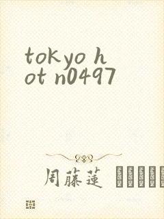 tokyo hot n0497