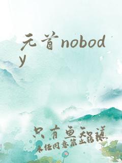 元首nobody