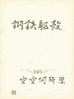 钢铁躯壳