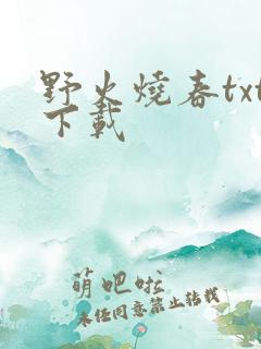 野火烧春txt下载