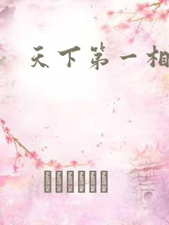 天下第一相书