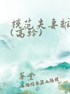 模范夫妻离婚了(高干)