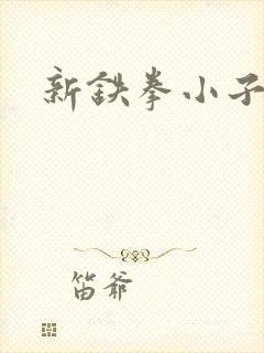 新铁拳小子