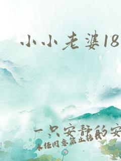 小小老婆18岁