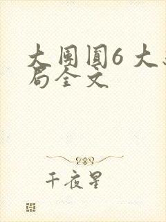 大团圆6 大结局全文